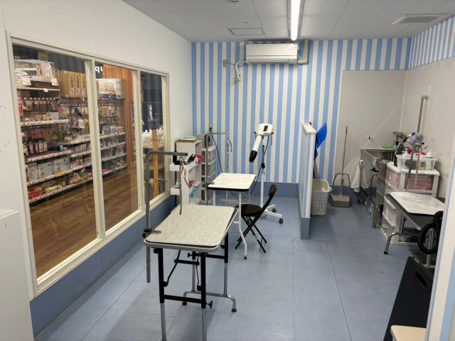 川崎小向店