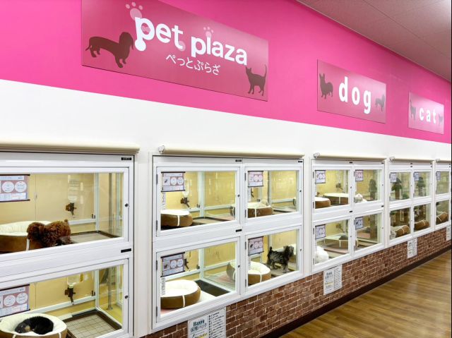 王子堀船店